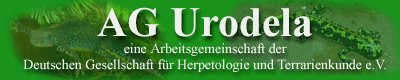 AG_Urodela AG_Urodela