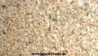 a_Korallensand_2mm a_Korallensand_2mm