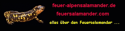 logobanner logobanner